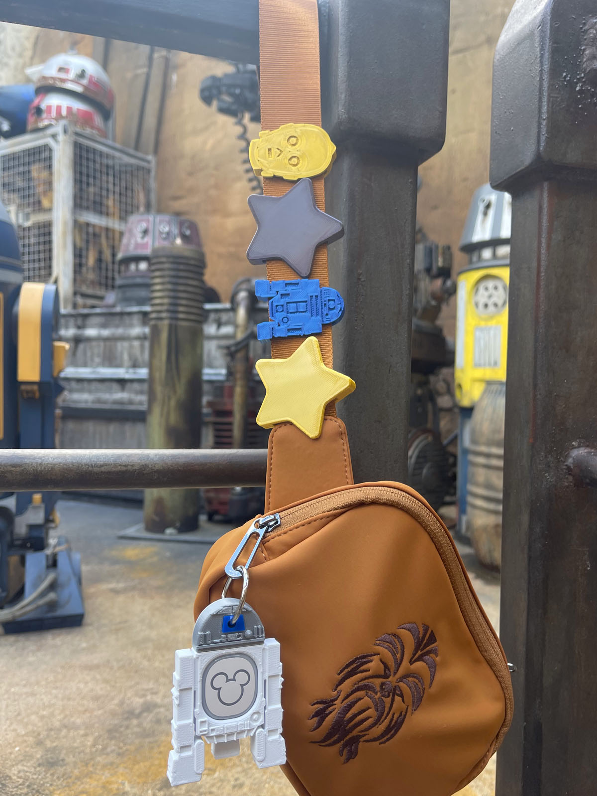 Star Belt and Bag Charm