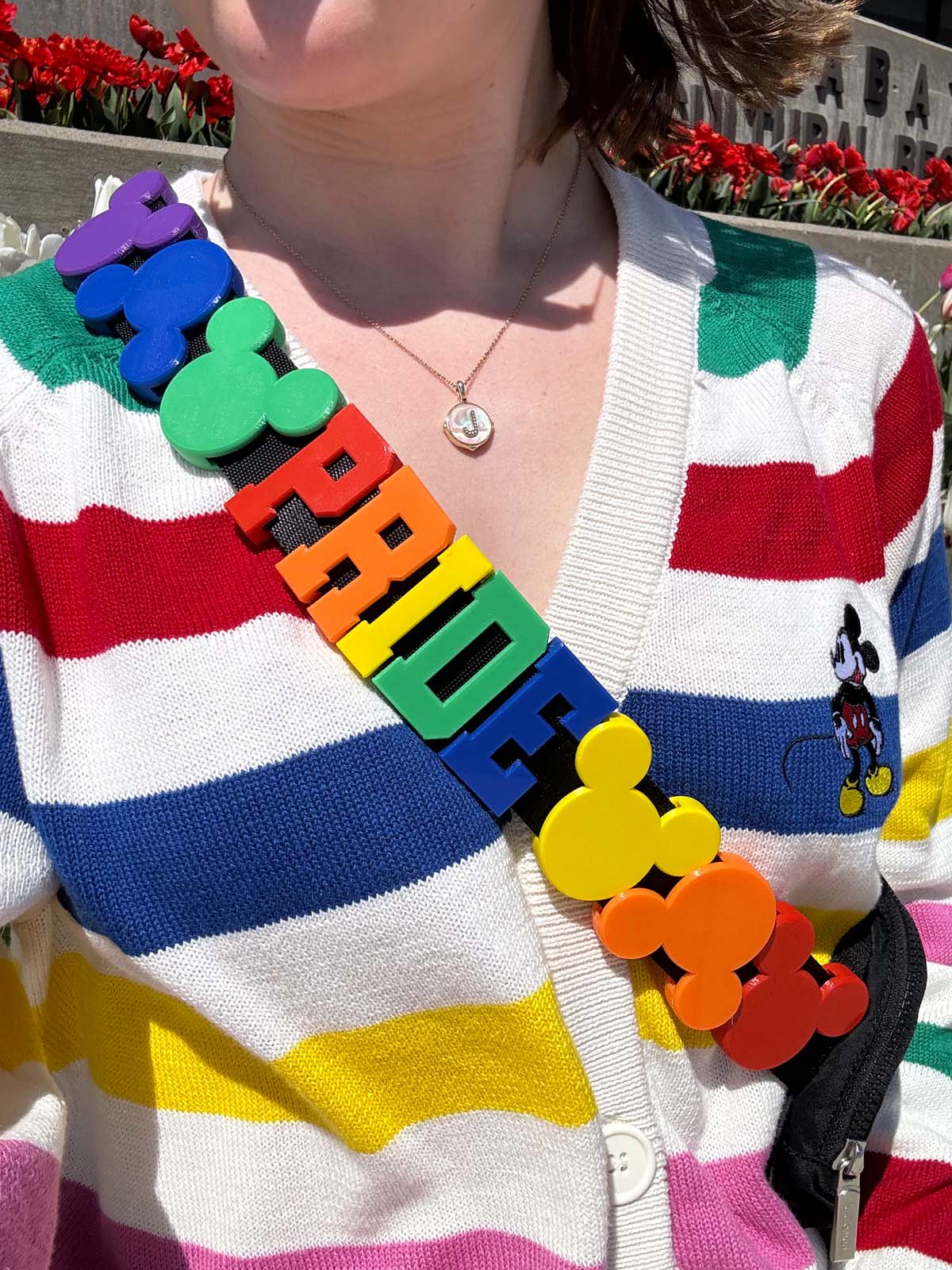 Rainbow Mouse Heads Belt and Bag Charm 6pc Set