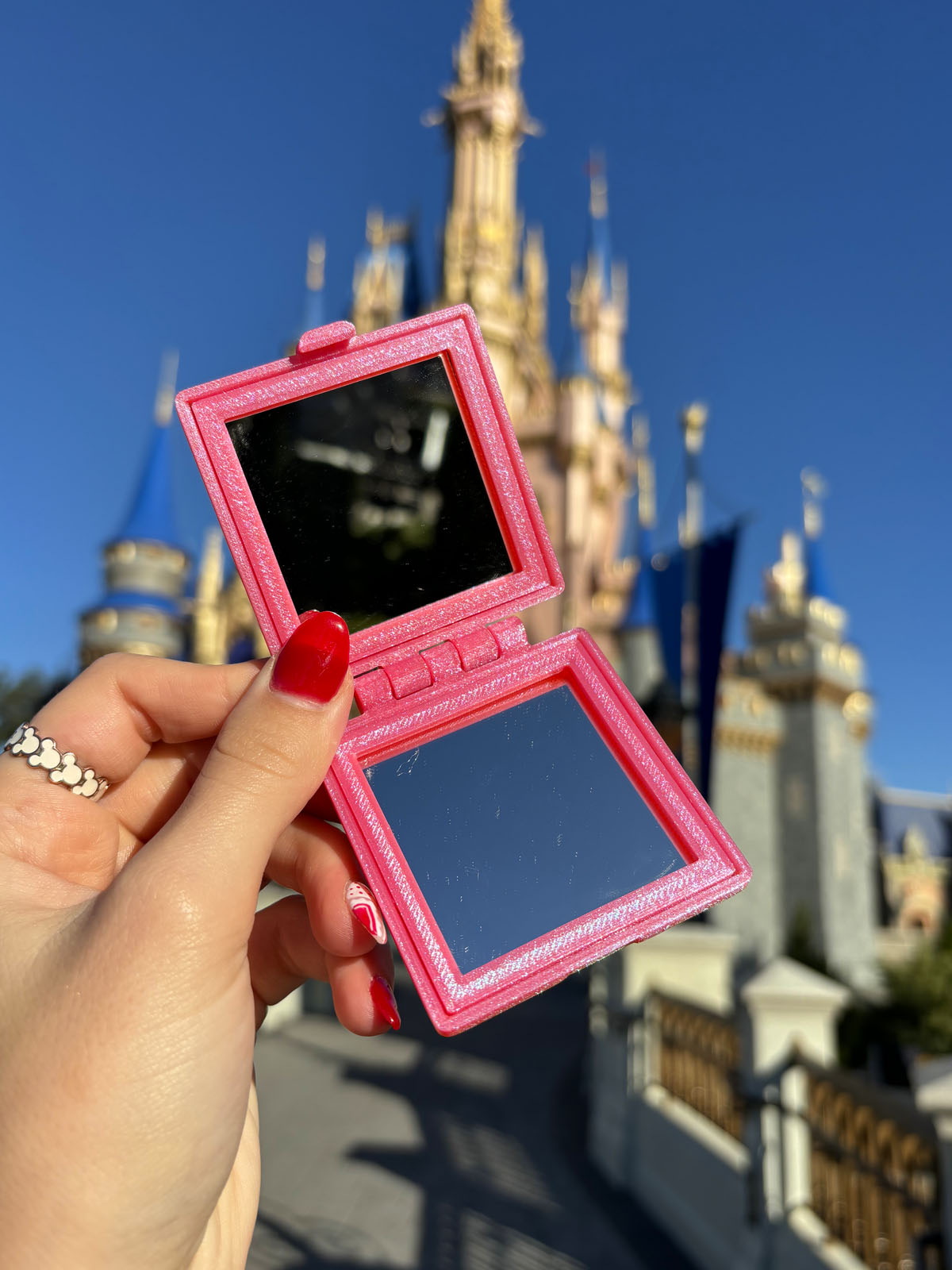 The ERAS Compact Mirror - CLEARANCE