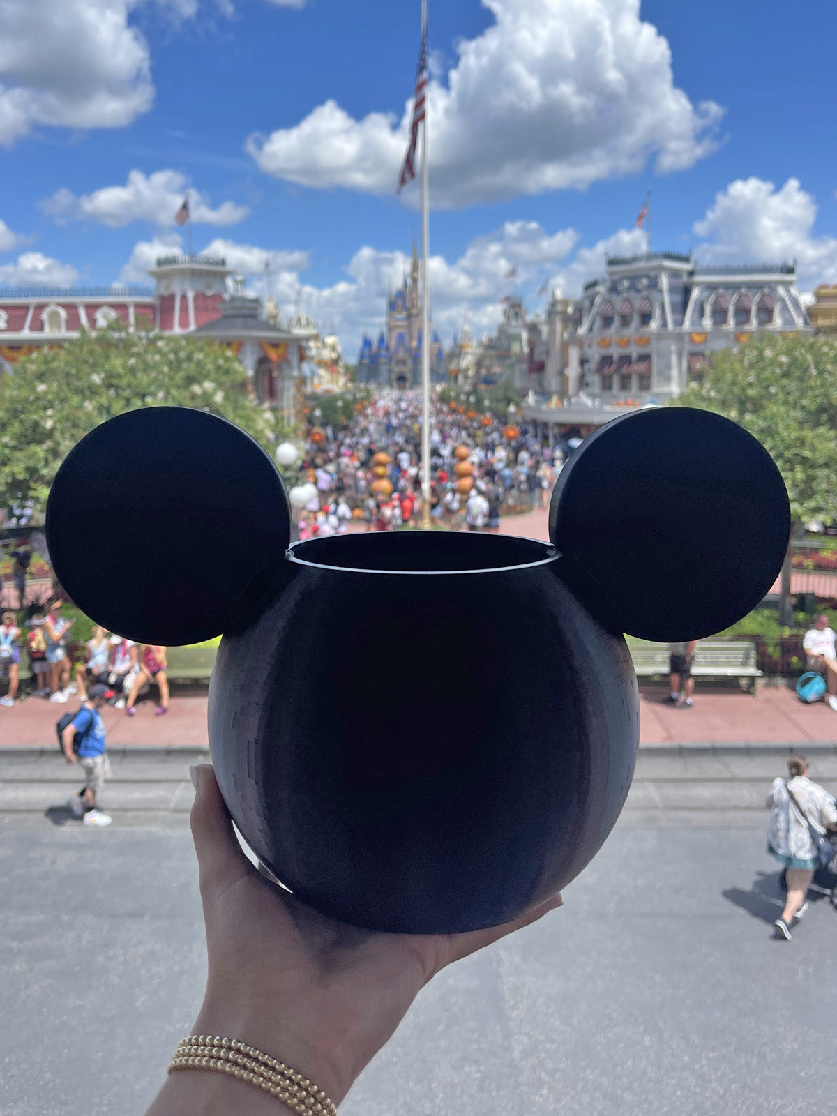 Classic Mouse Everything Bowl