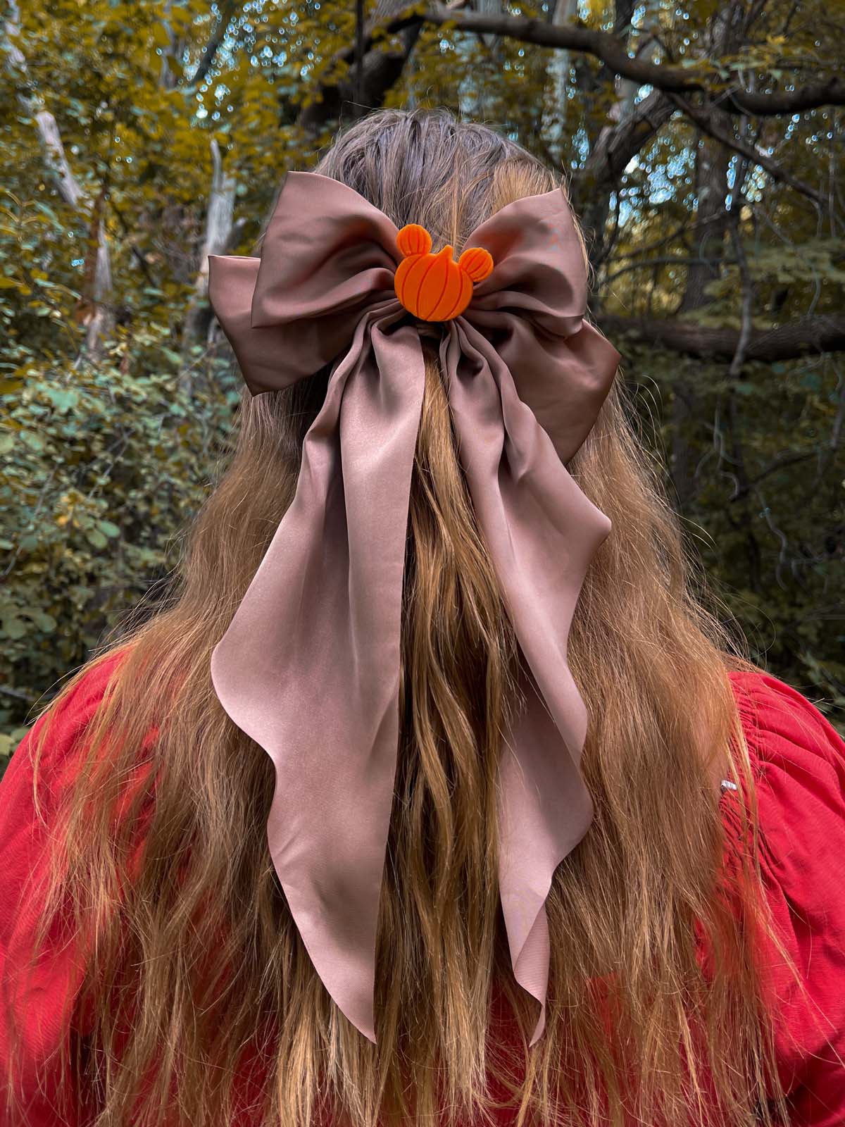 Do As Dreamers Do Hair Bow - Halloween & Fall