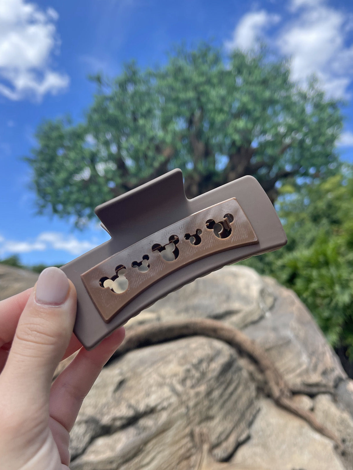 Do As Dreamers Do Chocolate Brown Claw Clip