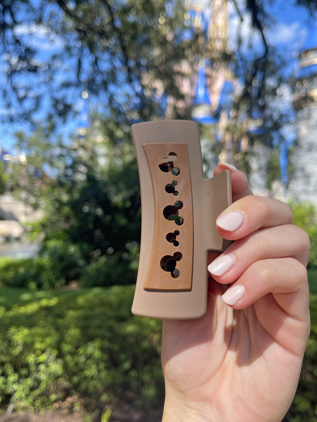 Do As Dreamers Do Chocolate Brown Claw Clip