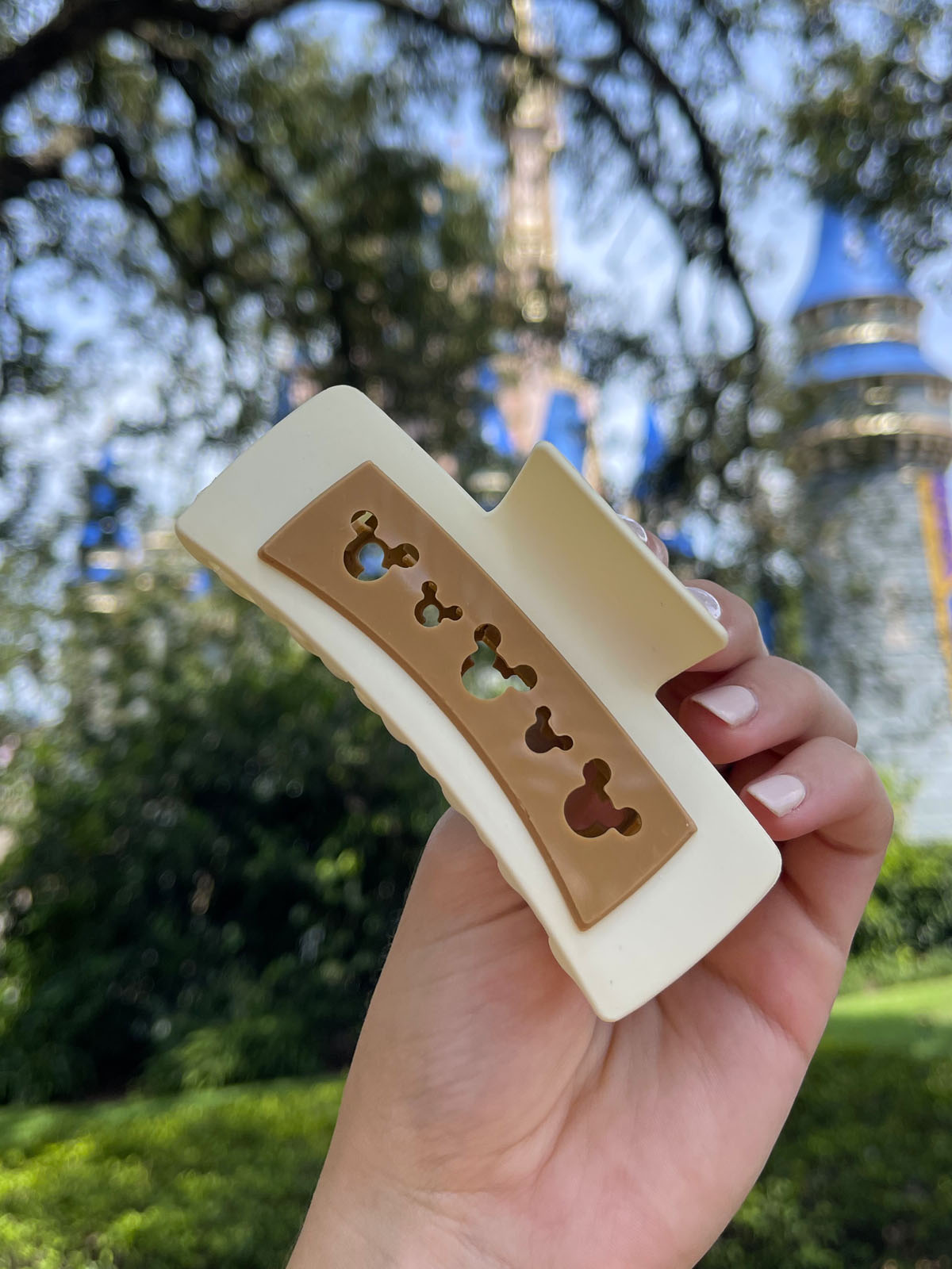 Do As Dreamers Do Beige Claw Clip