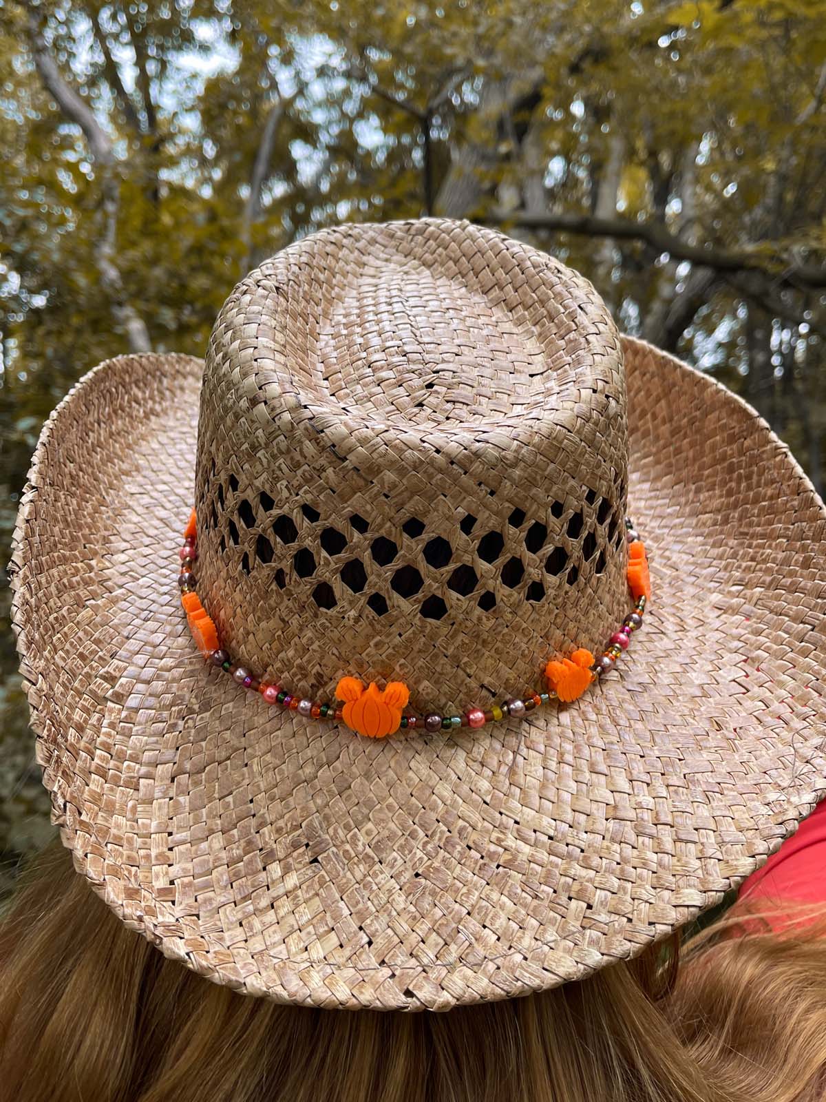 Fall / Autumn Mouse Hat Band