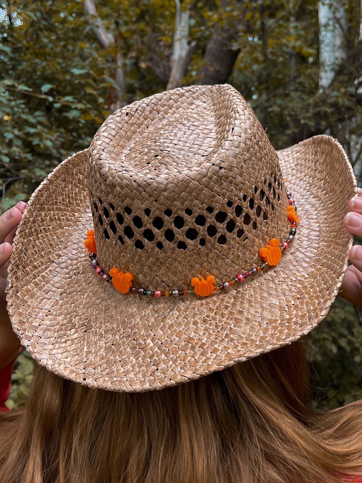 Fall / Autumn Mouse Hat Band
