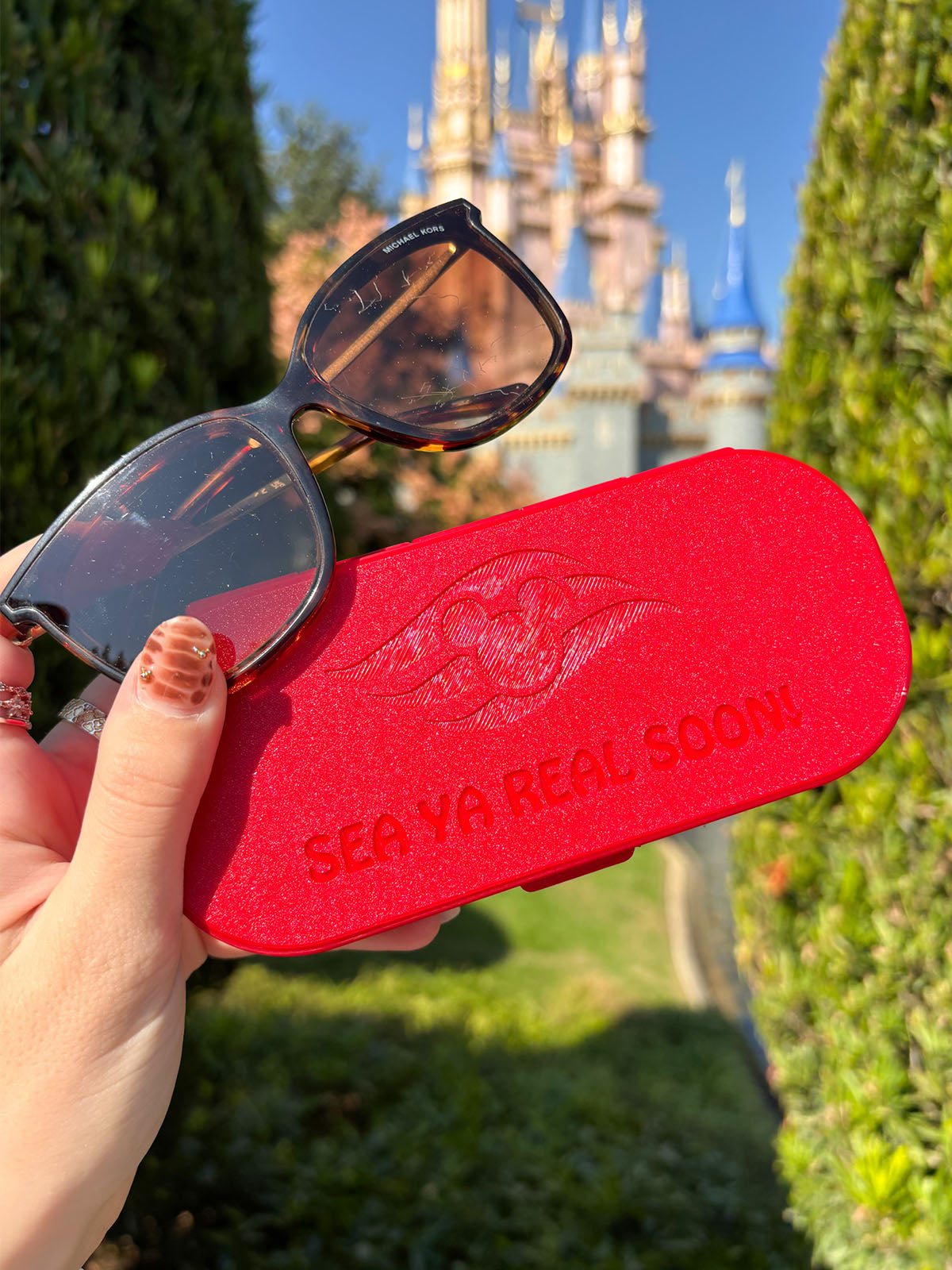 Cruisin' Glasses Case