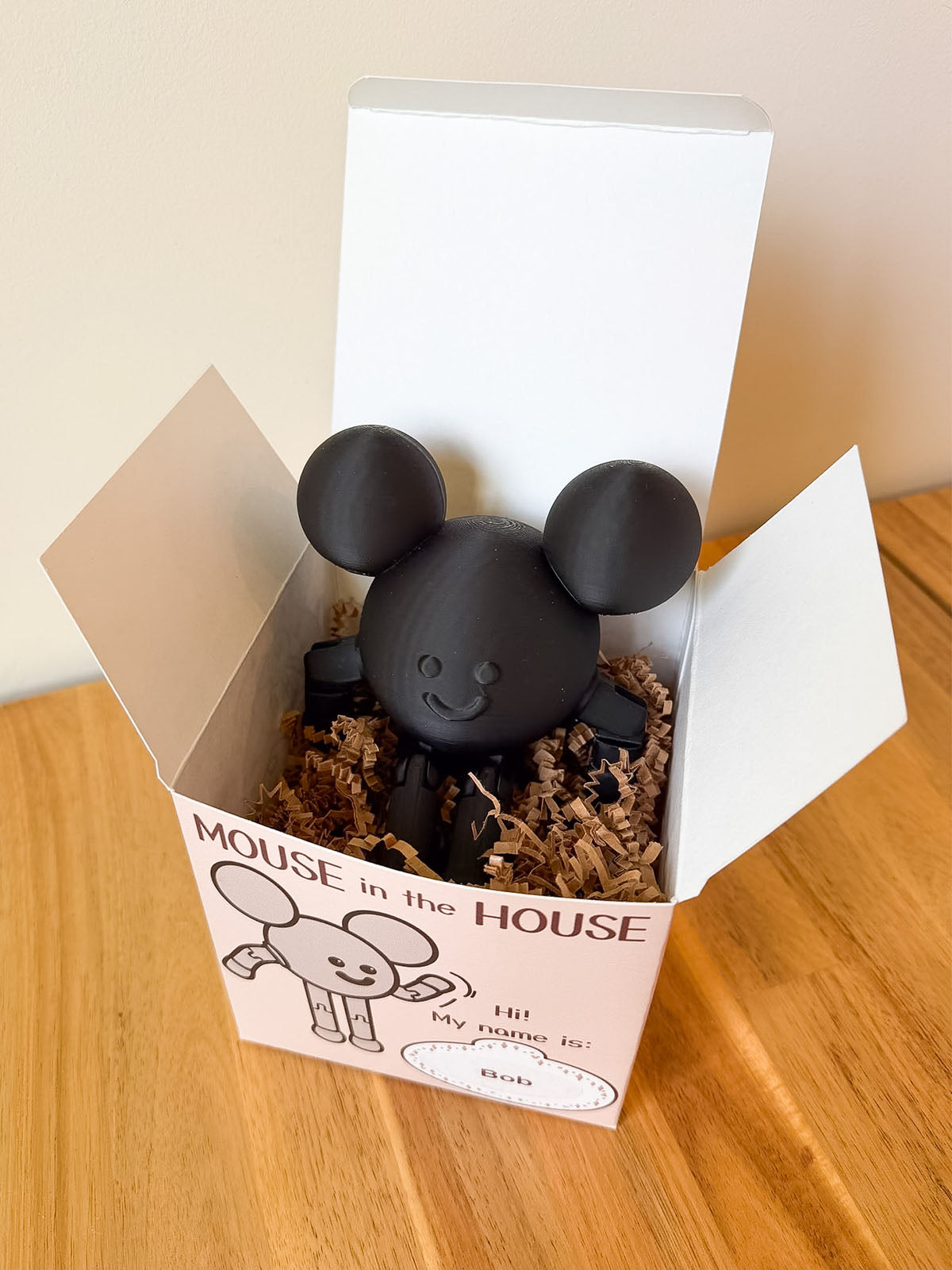 Mouse in the House