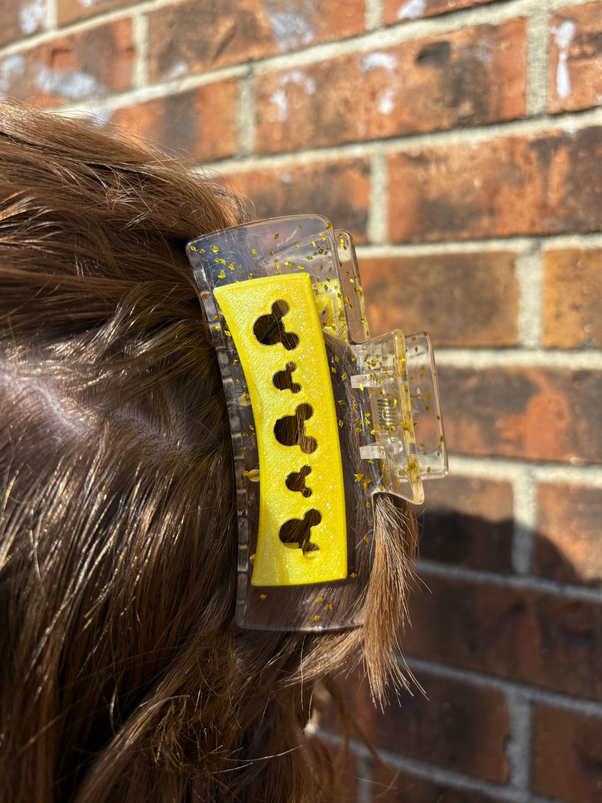 Do As Dreamers Do Book Loving Princess Claw Clip