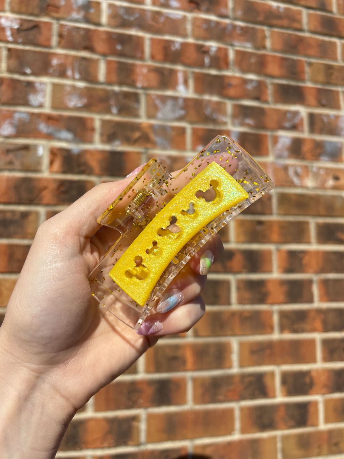 Do As Dreamers Do Book Loving Princess Claw Clip