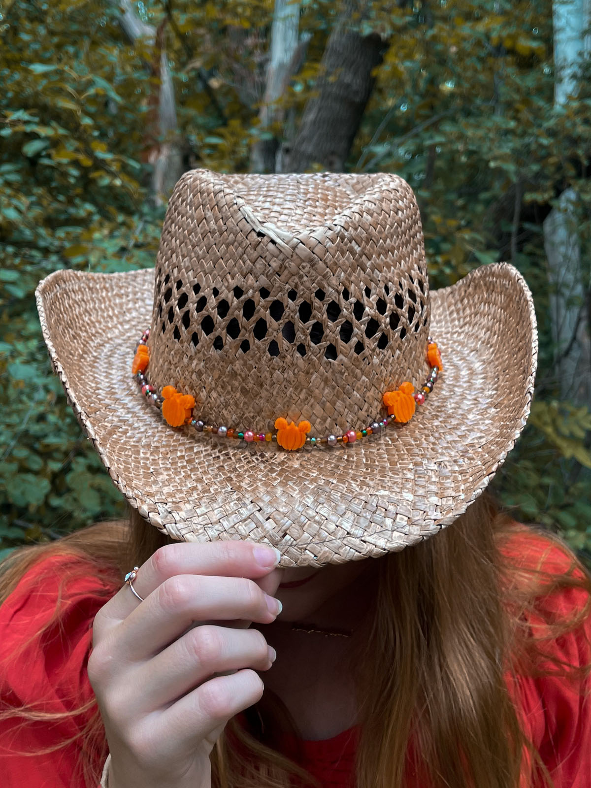Fall / Autumn Mouse Hat Band