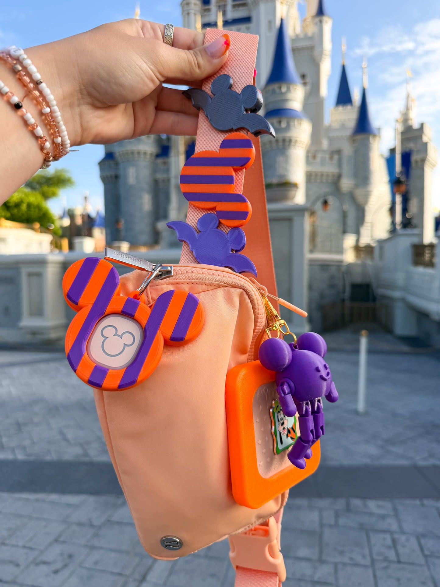 Seasonal Striped Belt and Bag Charm