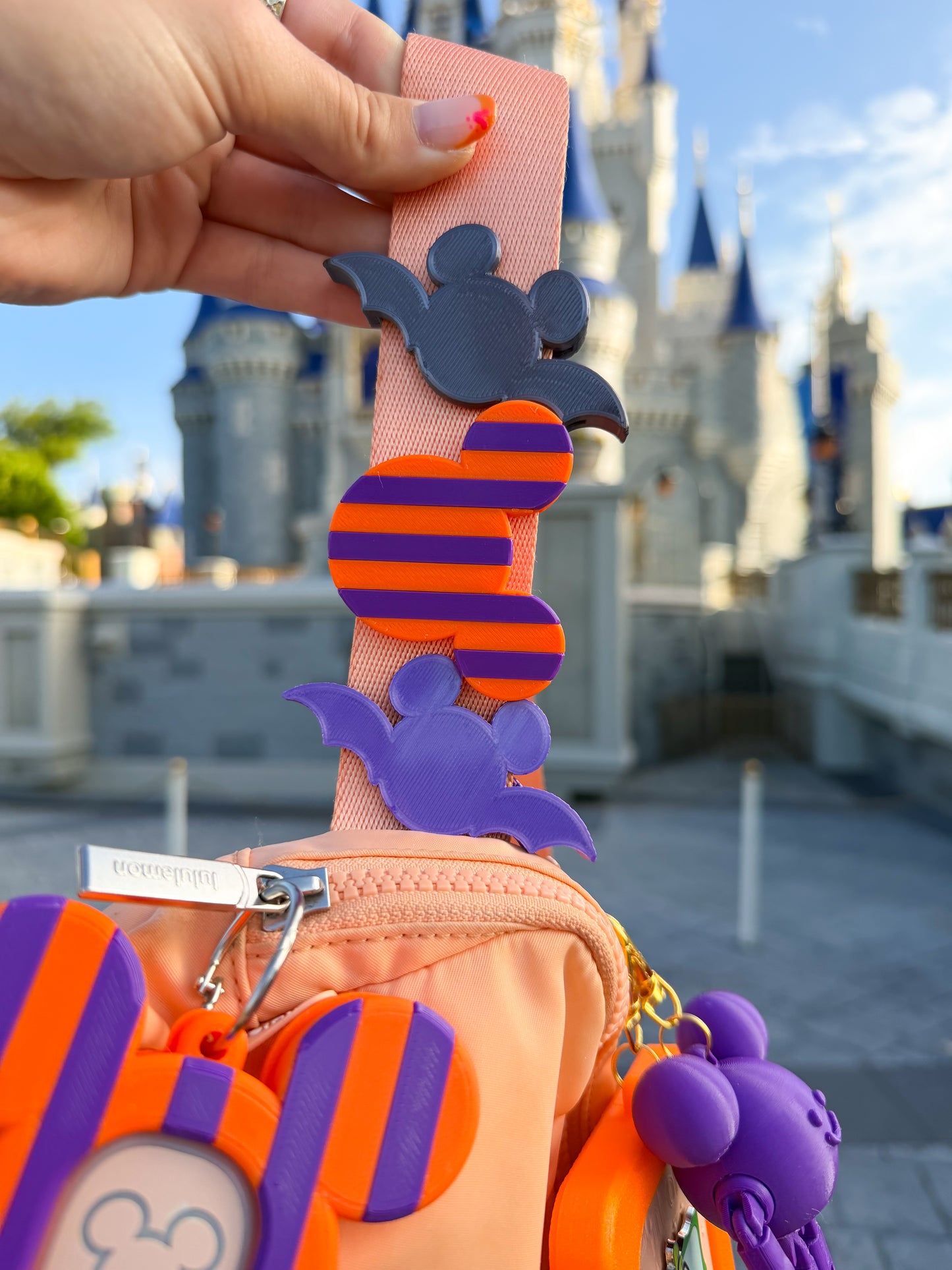 Seasonal Striped Belt and Bag Charm