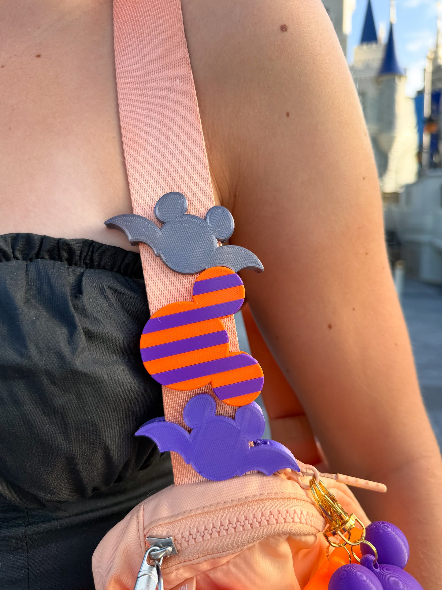 Seasonal Striped Belt and Bag Charm