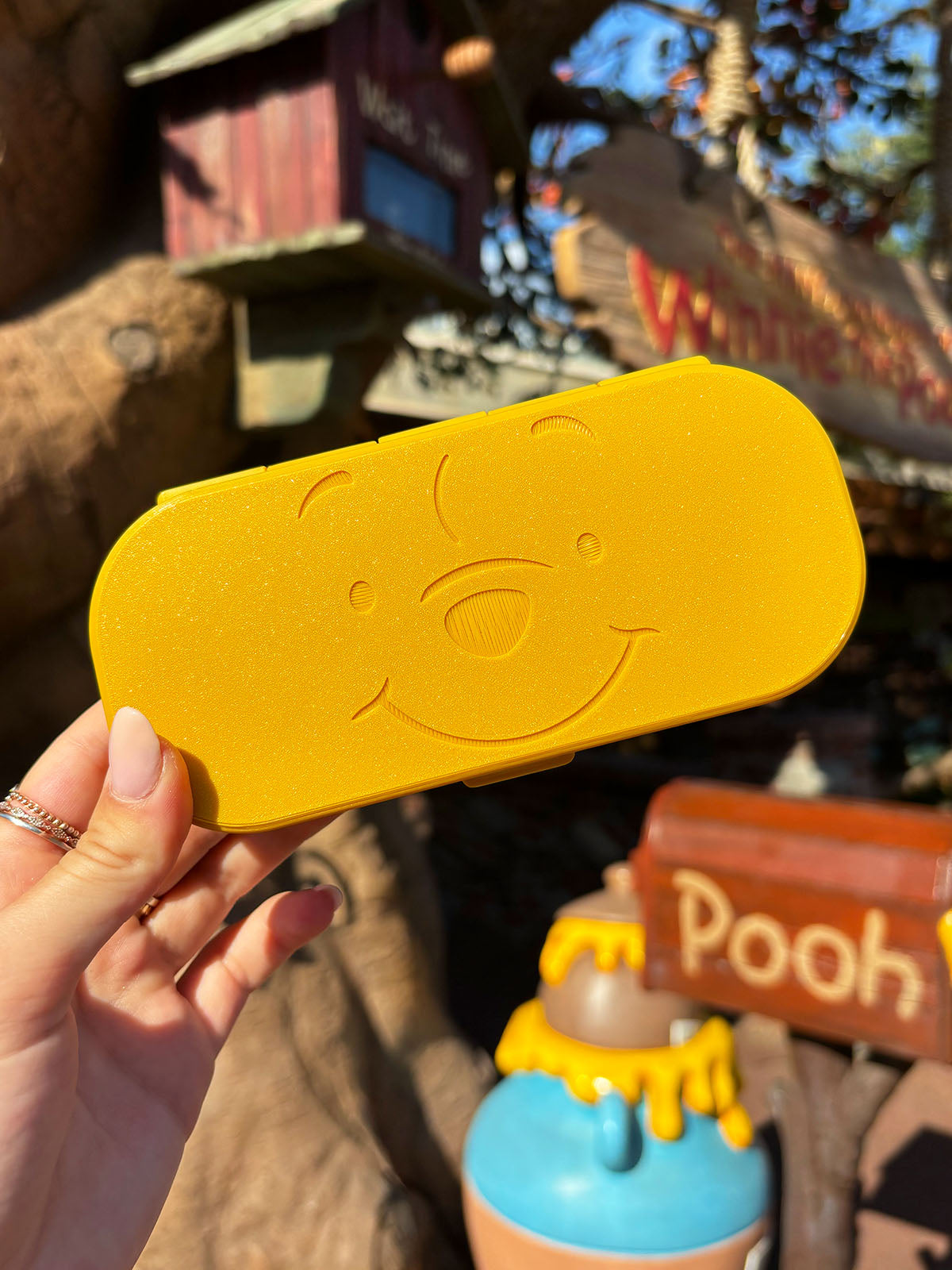 Silly Old Bear Glasses Case