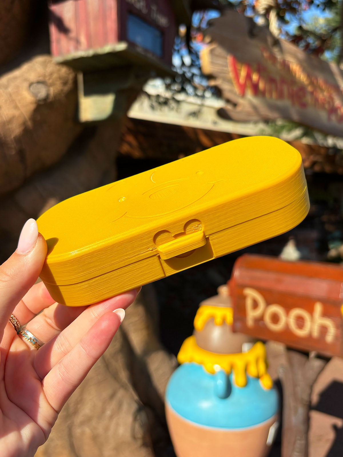 Silly Old Bear Glasses Case