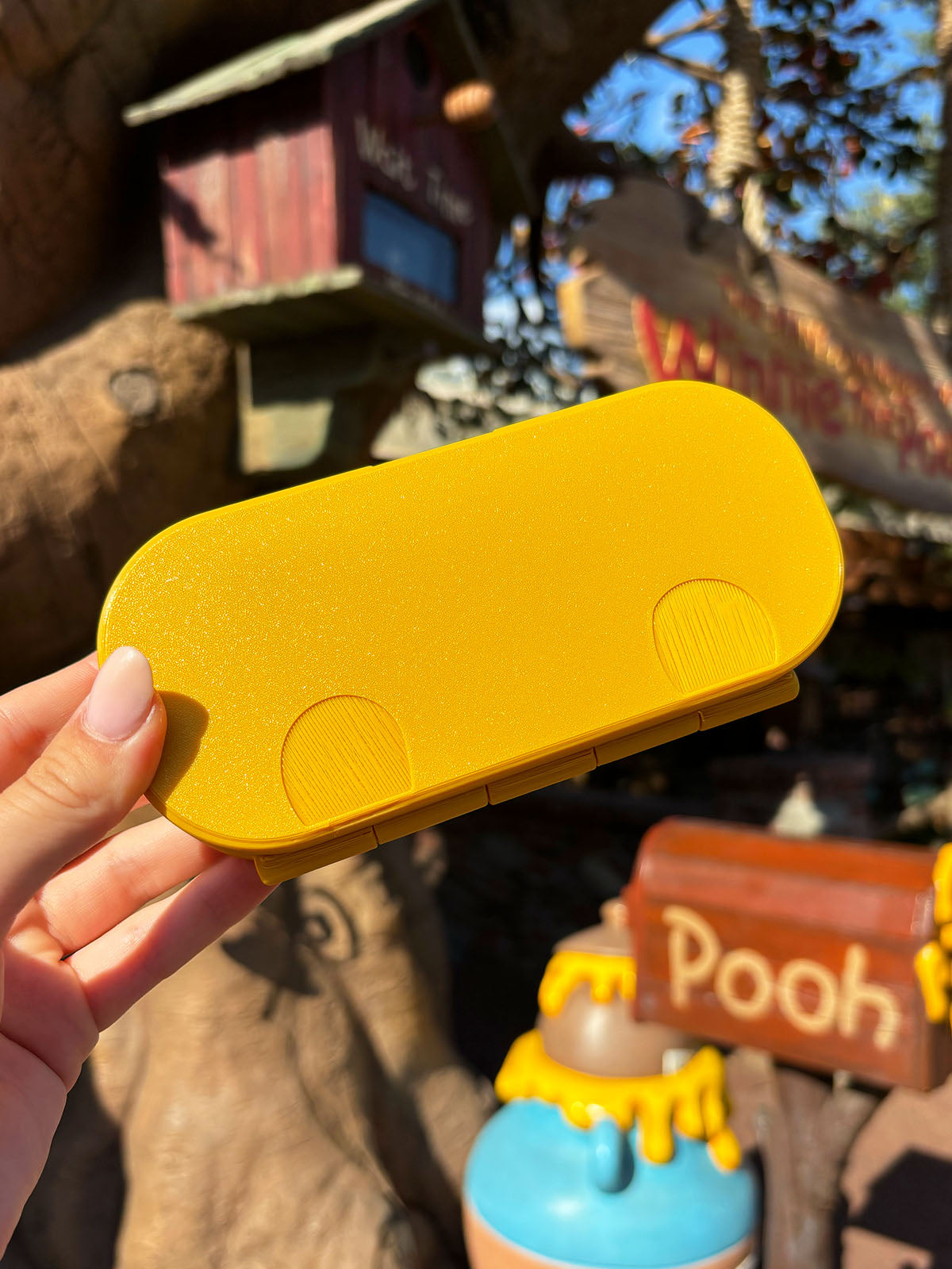 Silly Old Bear Glasses Case