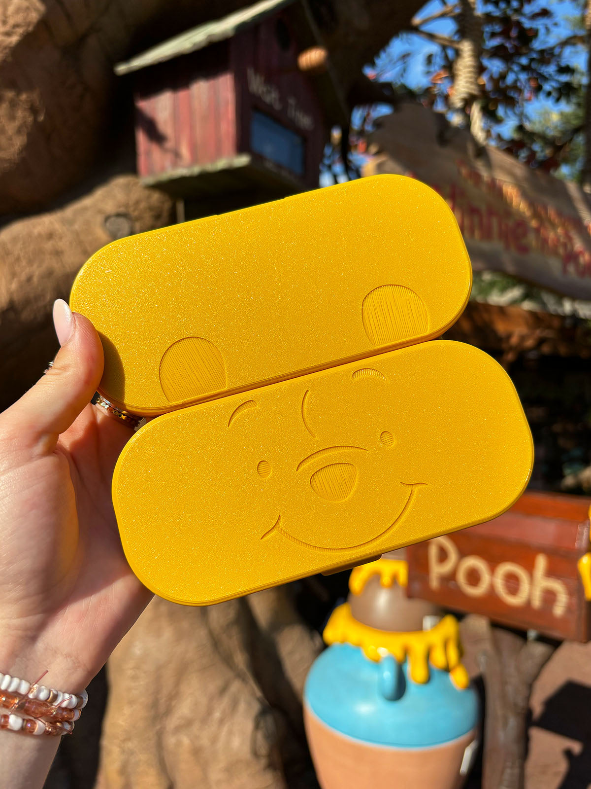 Silly Old Bear Glasses Case