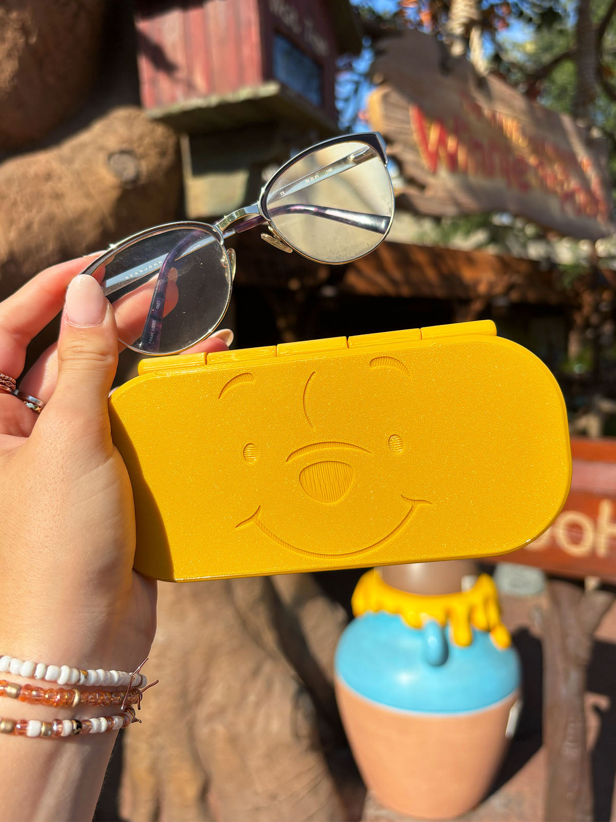 Silly Old Bear Glasses Case