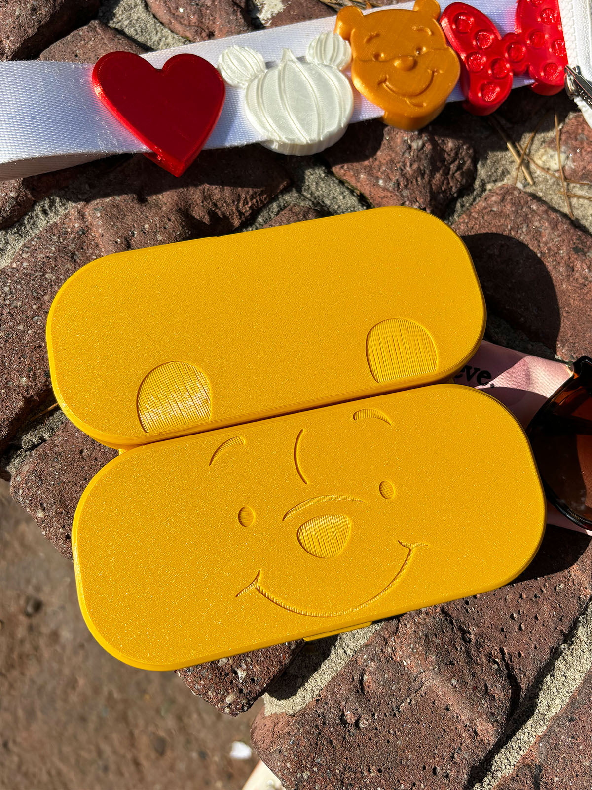 Silly Old Bear Glasses Case