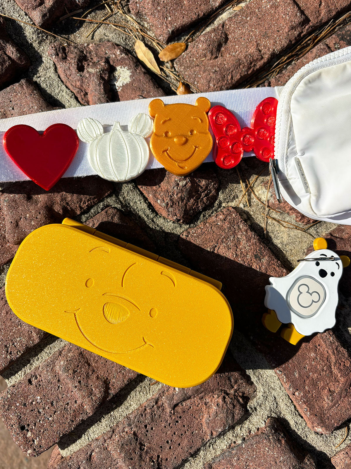 Silly Old Bear Glasses Case