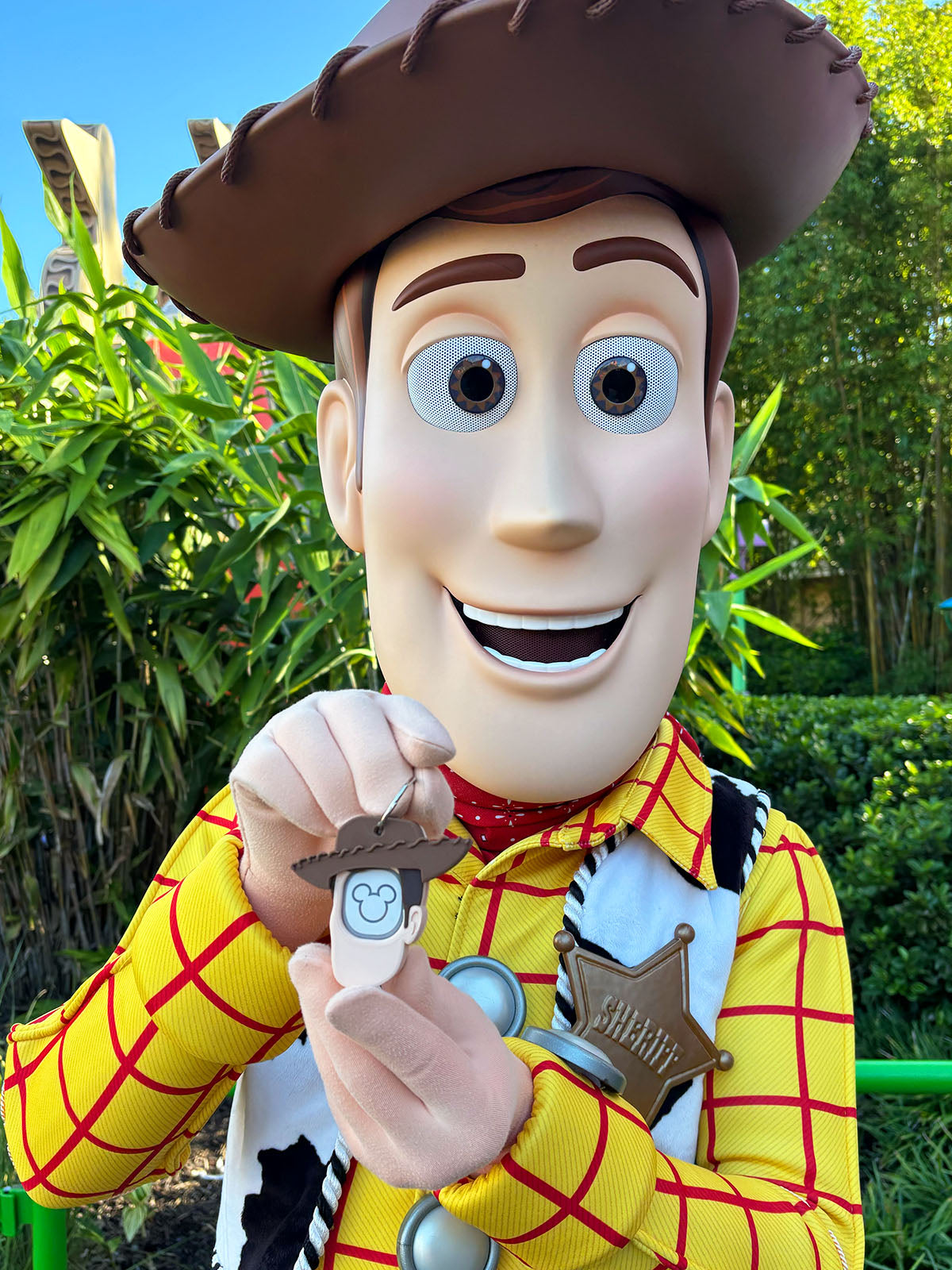 Cowboy Magic Band Buddy