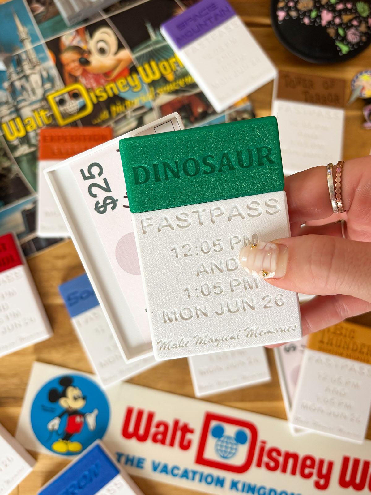 Fastpass Card Holder with BONUS GIFT CARD