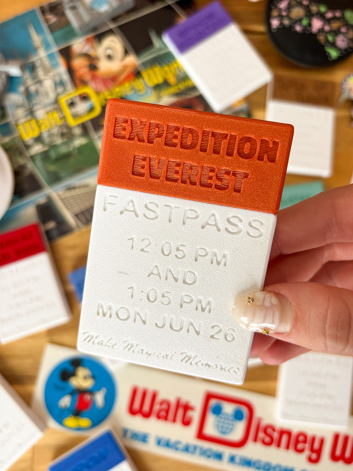 Fastpass Card Holder with BONUS GIFT CARD