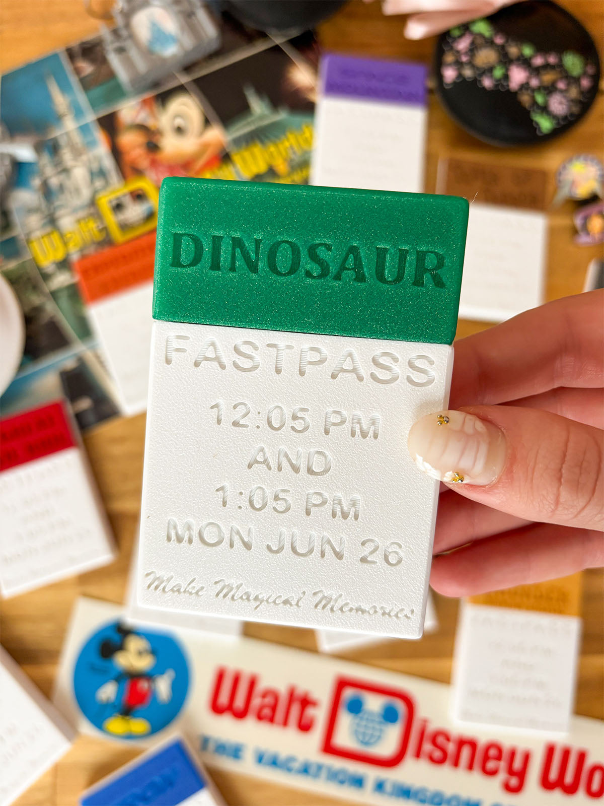 Fastpass Card Holder with BONUS GIFT CARD