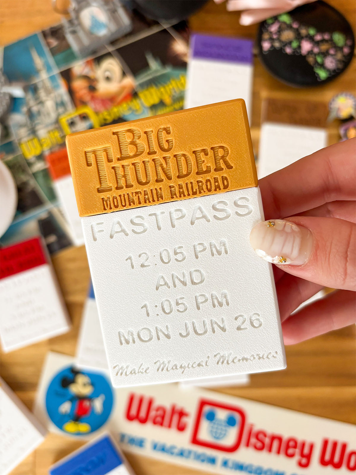 Fastpass Card Holder with BONUS GIFT CARD