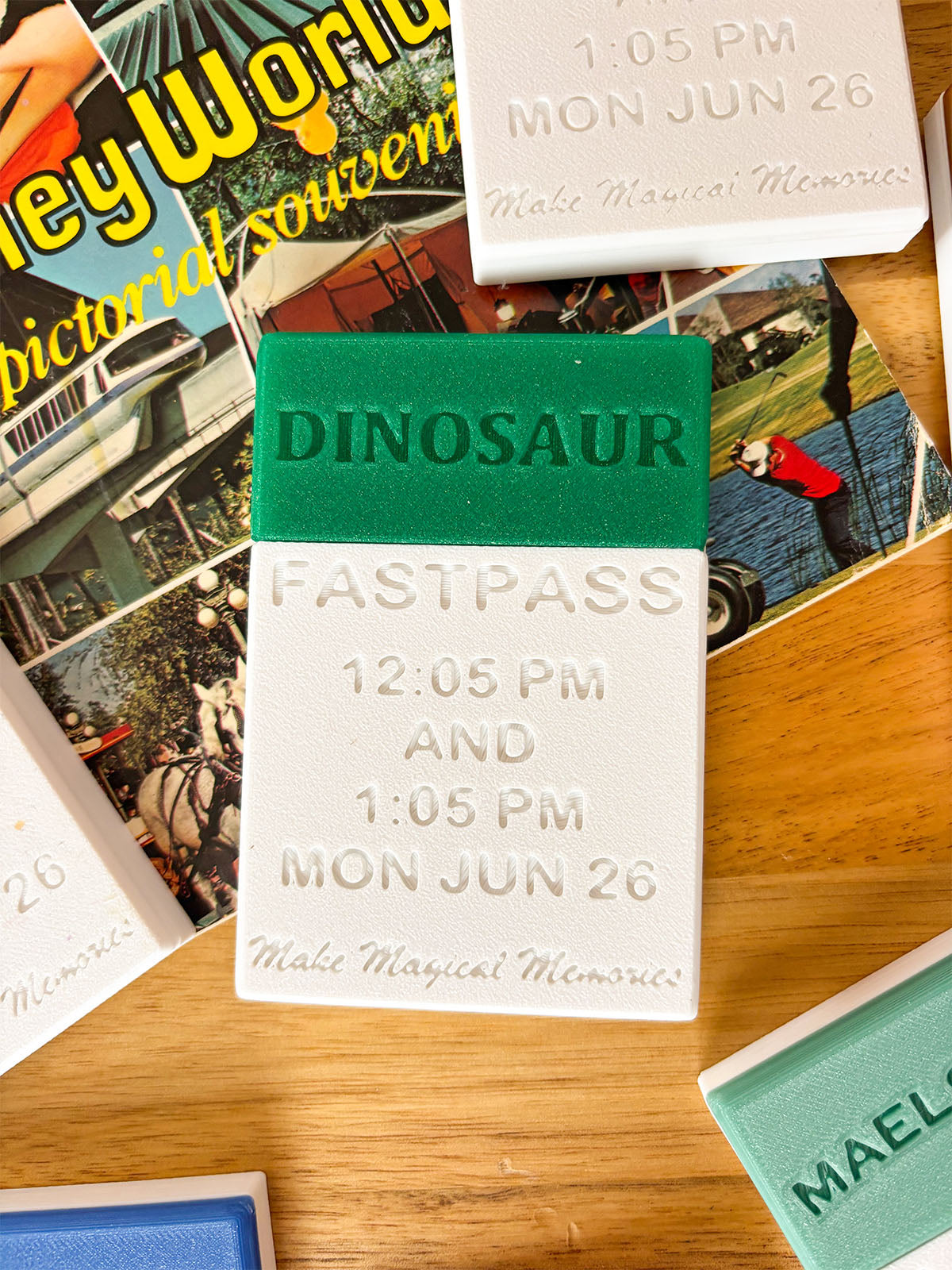 Fastpass Card Holder with BONUS GIFT CARD