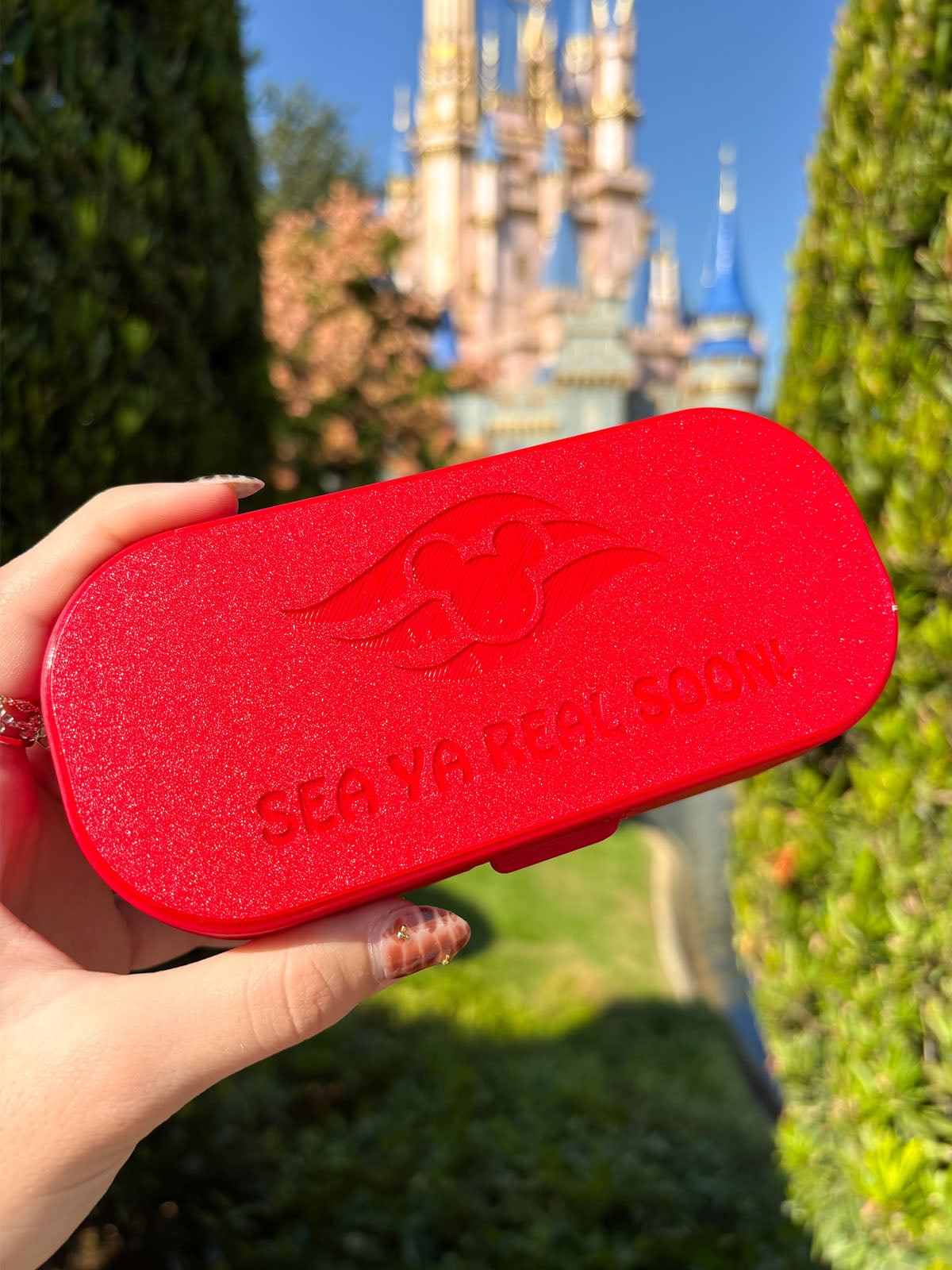 Cruisin' Glasses Case