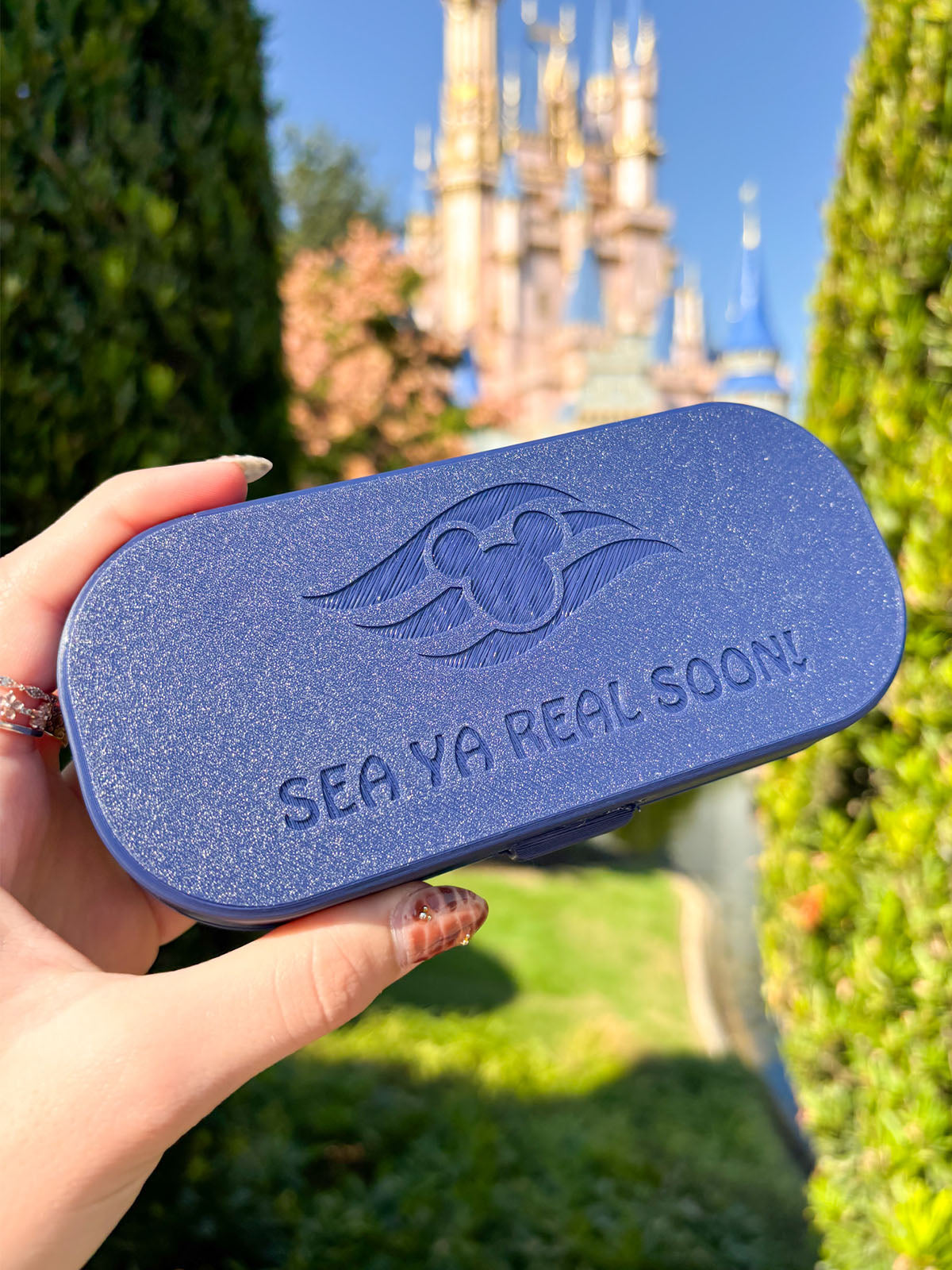 Cruisin' Glasses Case