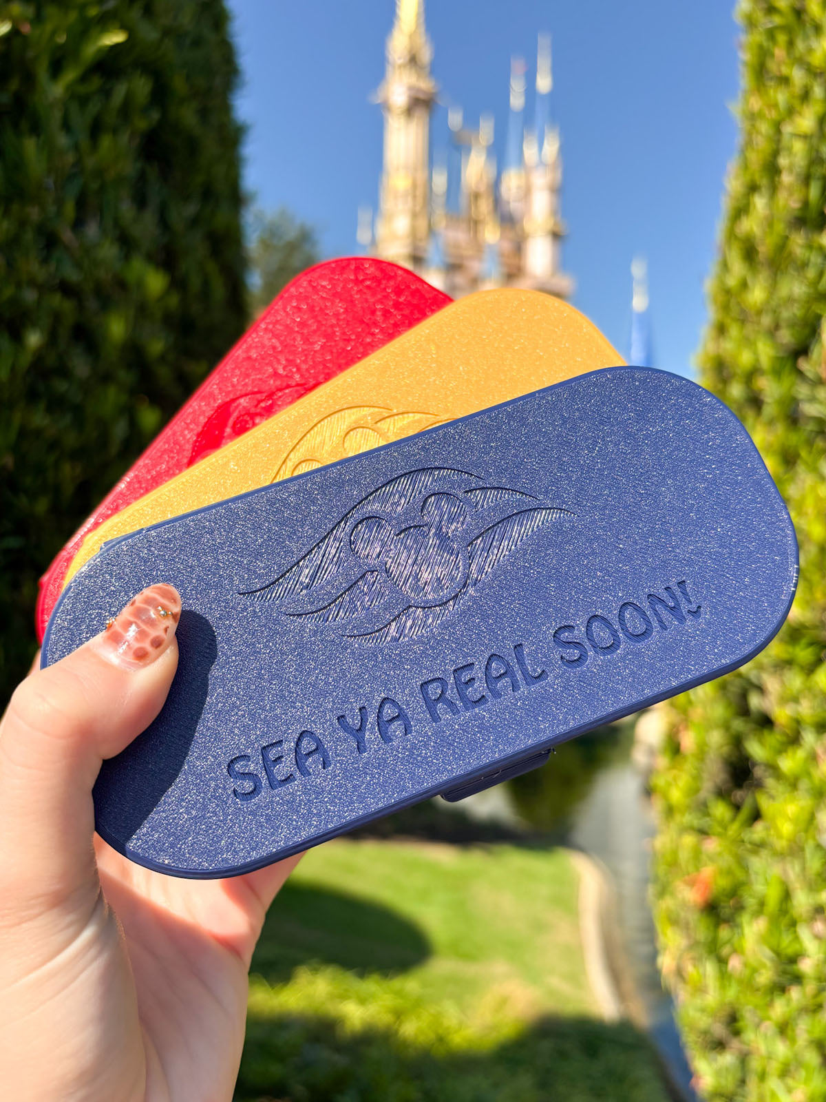 Cruisin' Glasses Case