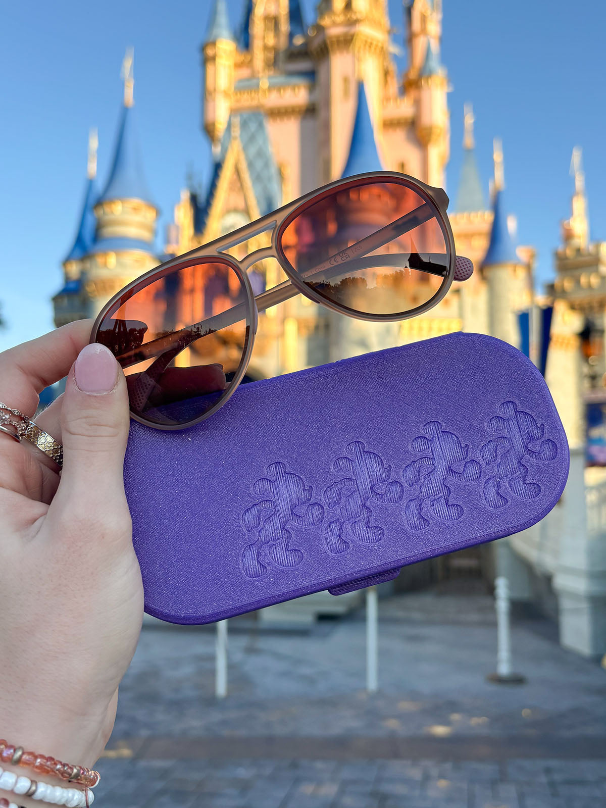 Magic Miles Glasses Case