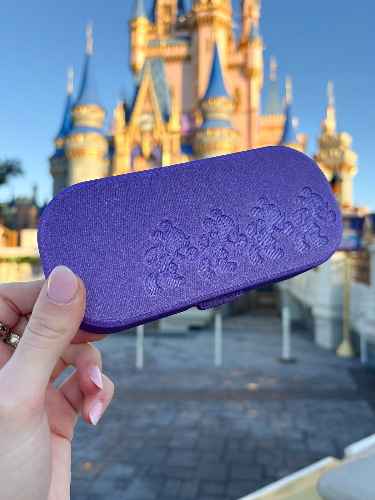 Magic Miles Glasses Case