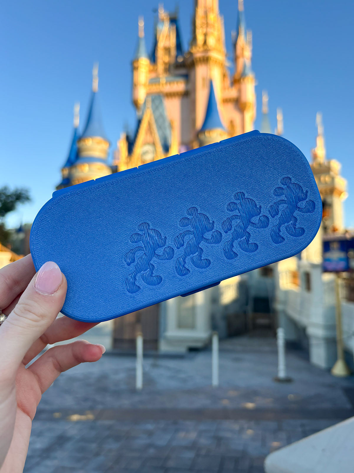 Magic Miles Glasses Case