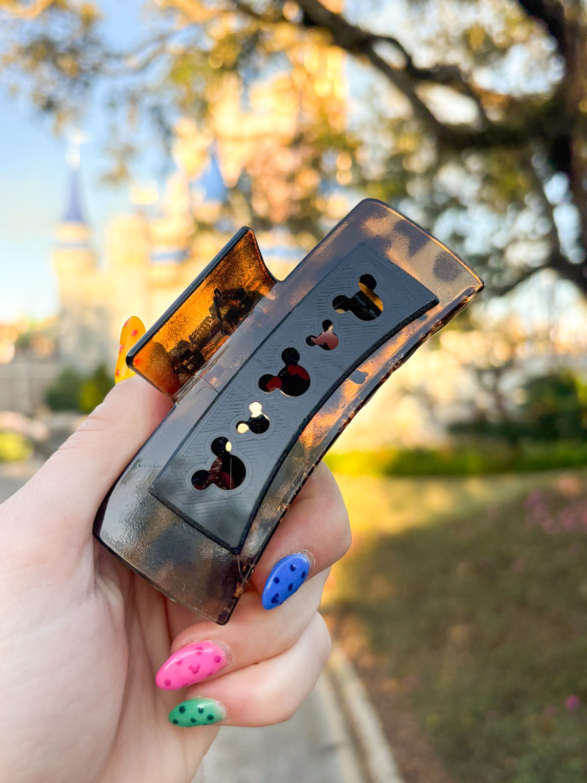 Tortoise Shell Claw Clip