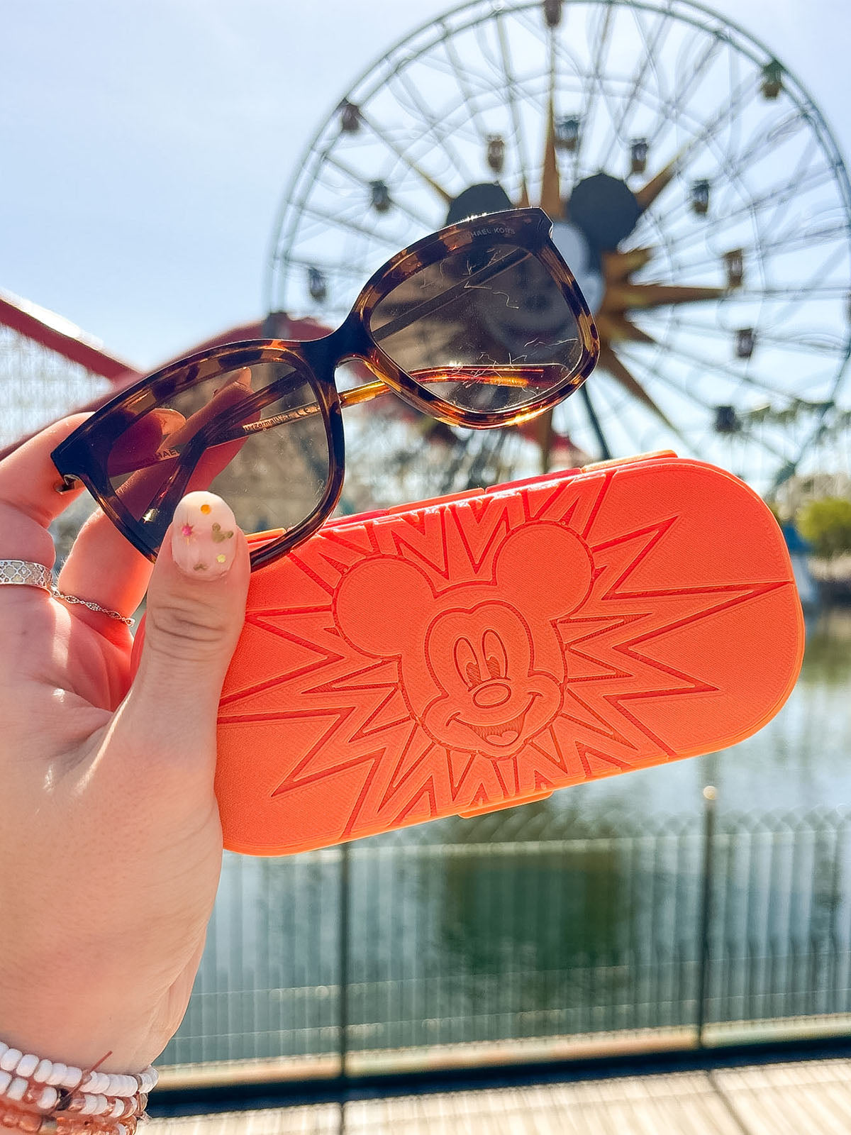 Pal Around Glasses Case