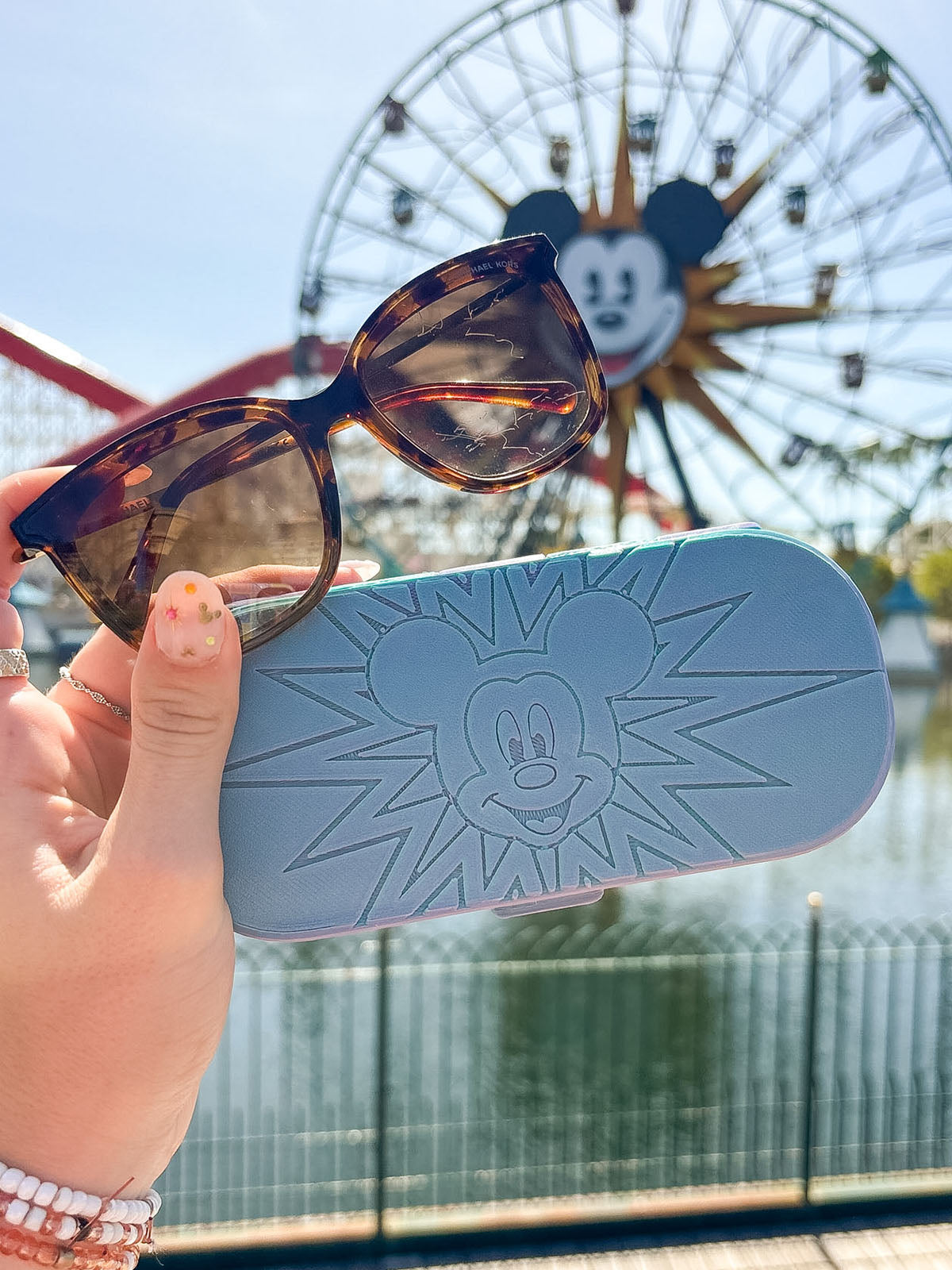 Pal Around Glasses Case