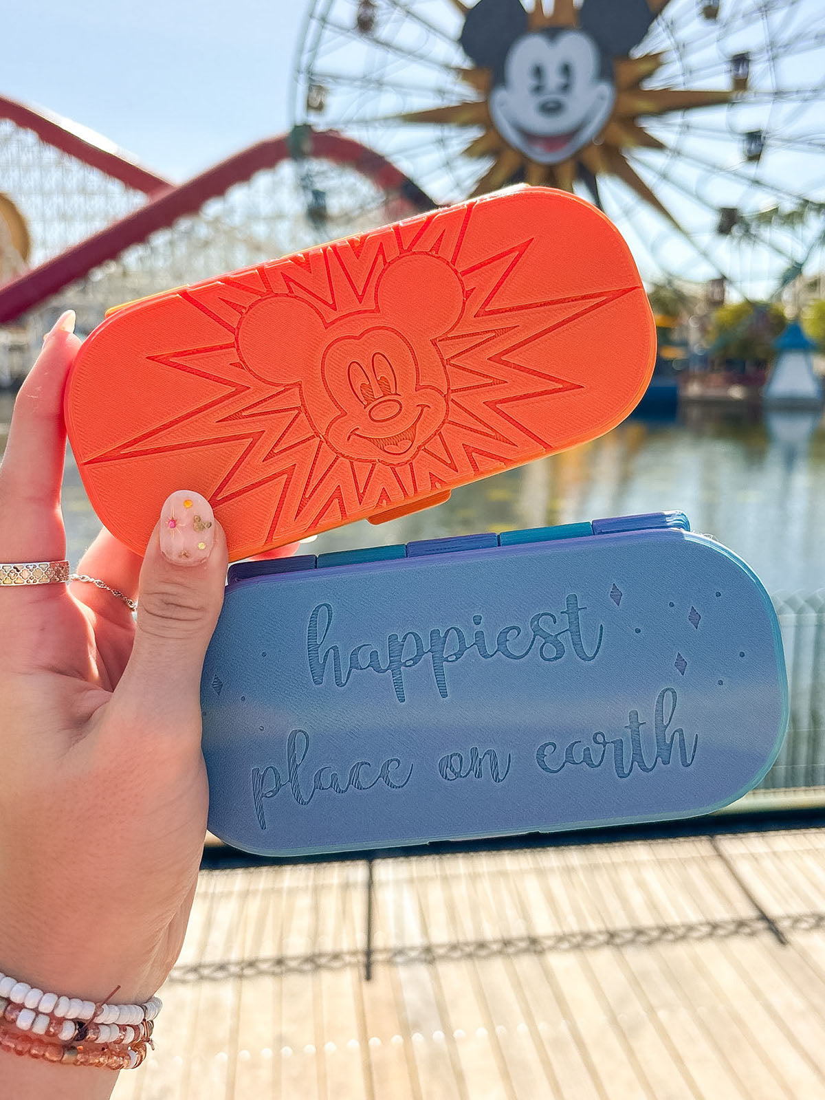 Pal Around Glasses Case