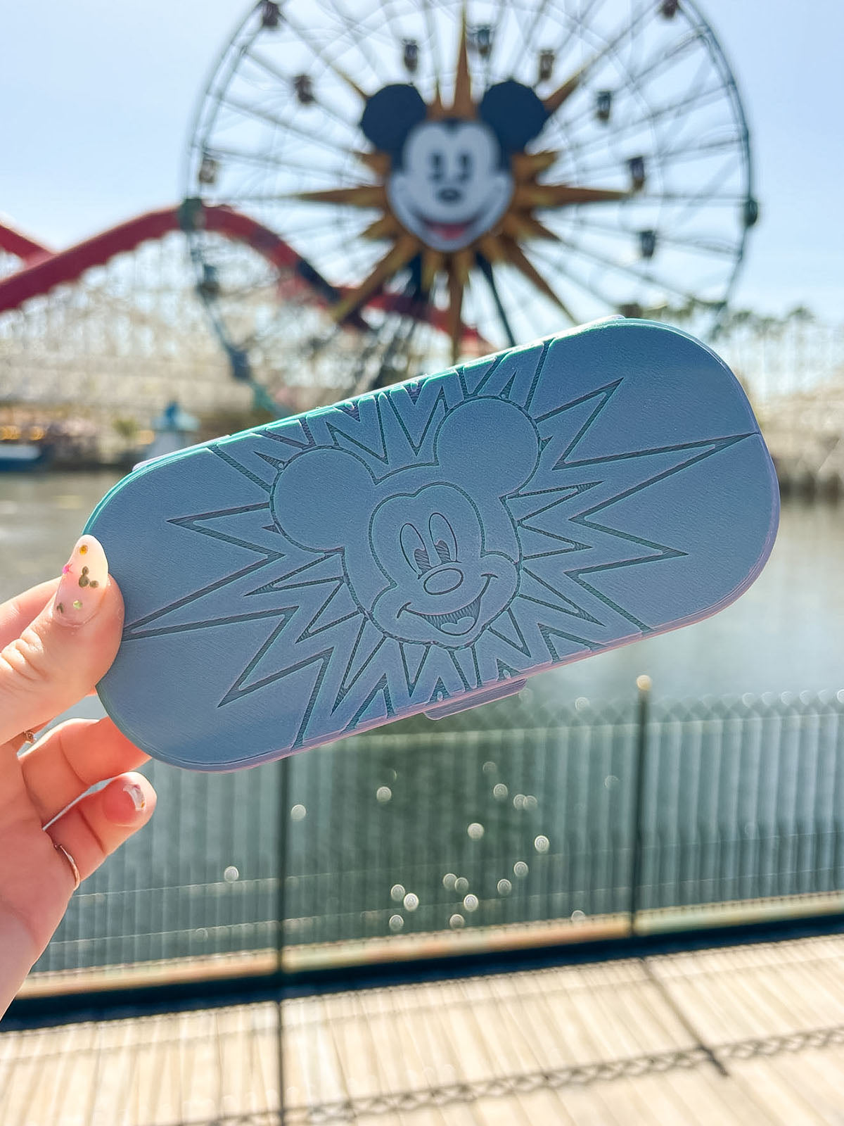 Pal Around Glasses Case