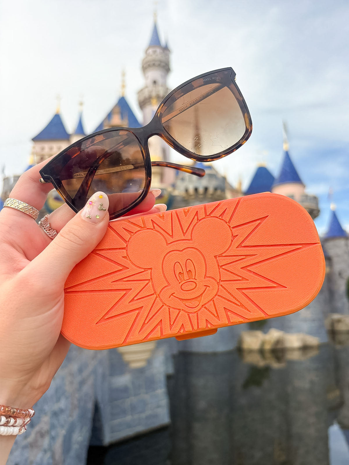 Pal Around Glasses Case