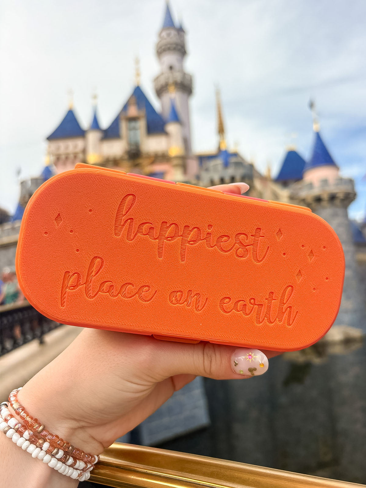 Pal Around Glasses Case