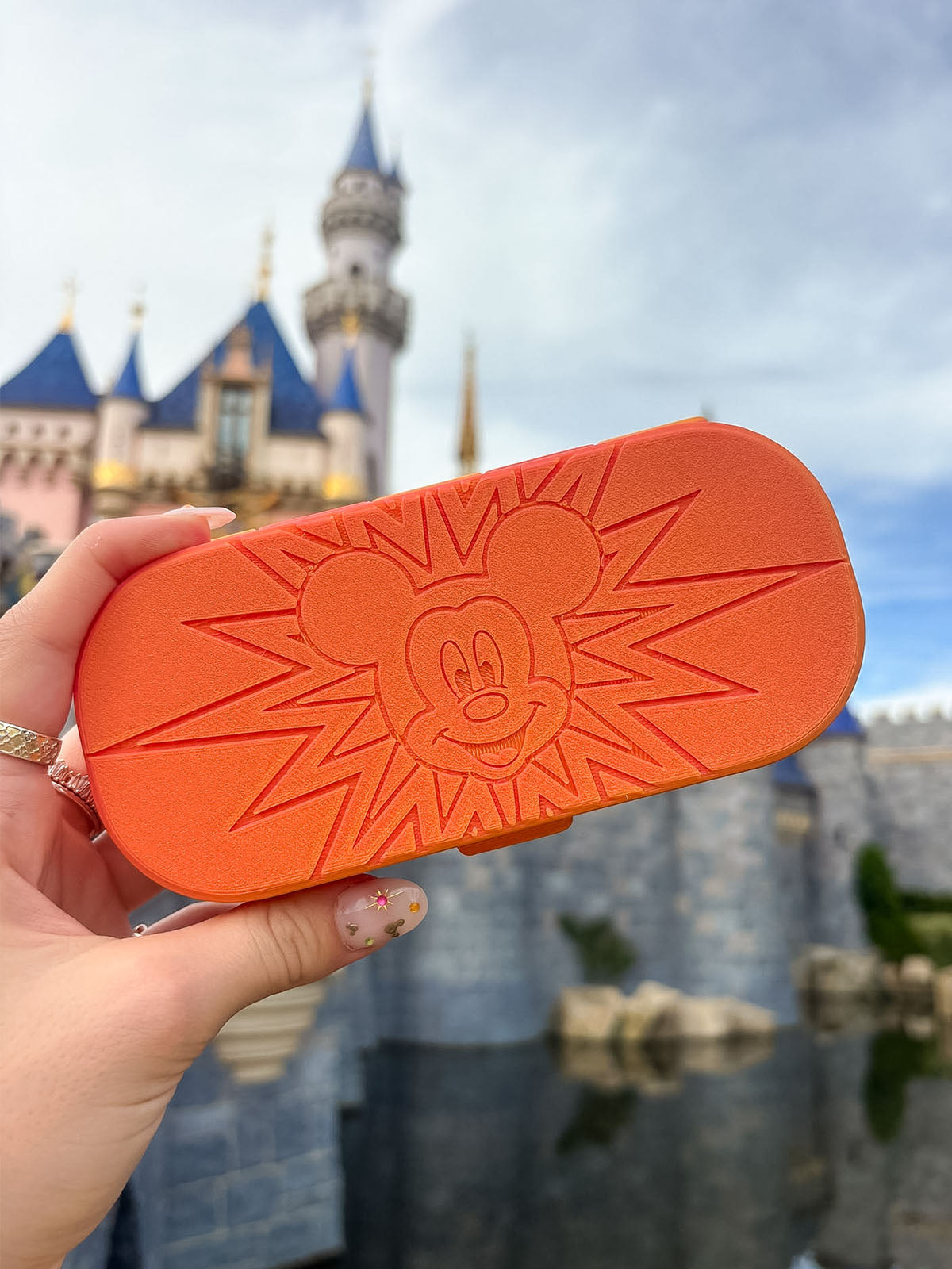 Pal Around Glasses Case