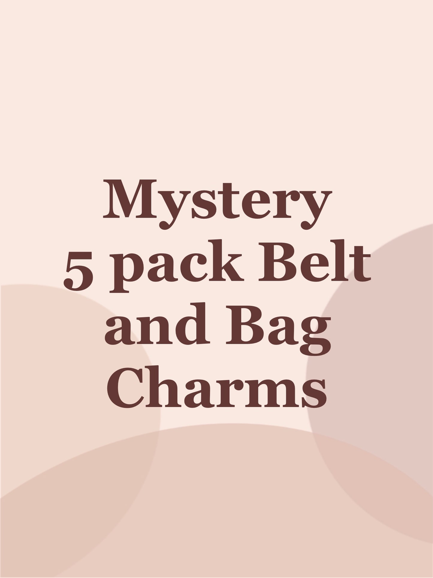 Mystery 5 Pack Belt and Bag Charms