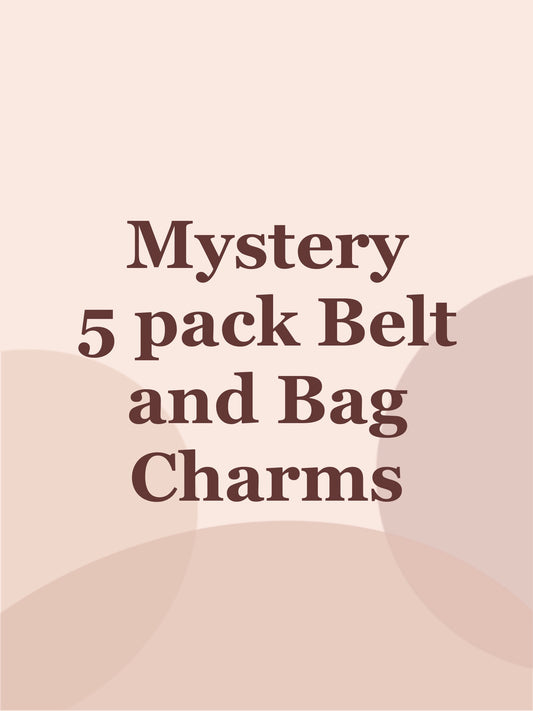 Mystery 5 Pack Belt and Bag Charms