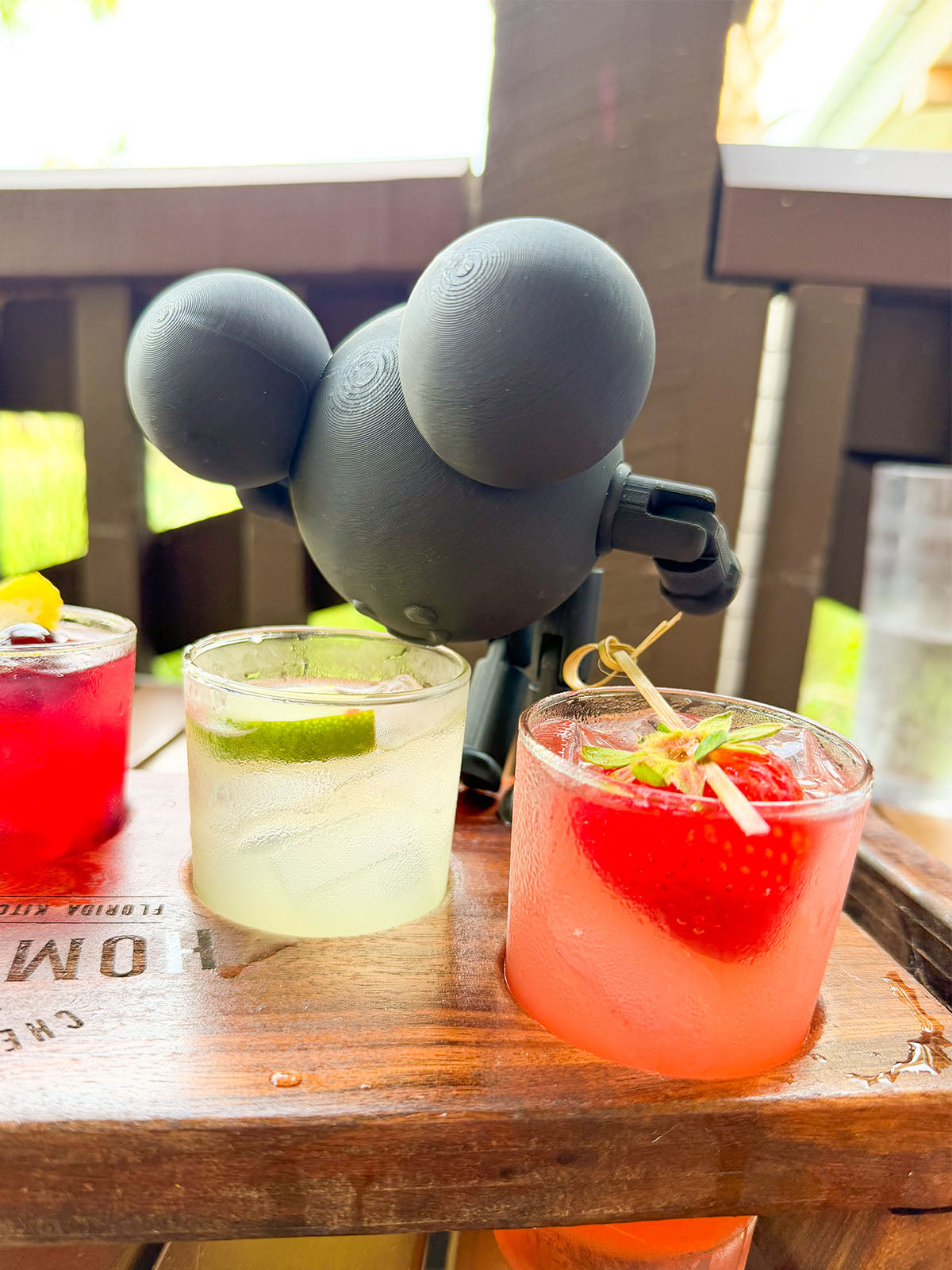 Mouse in the House