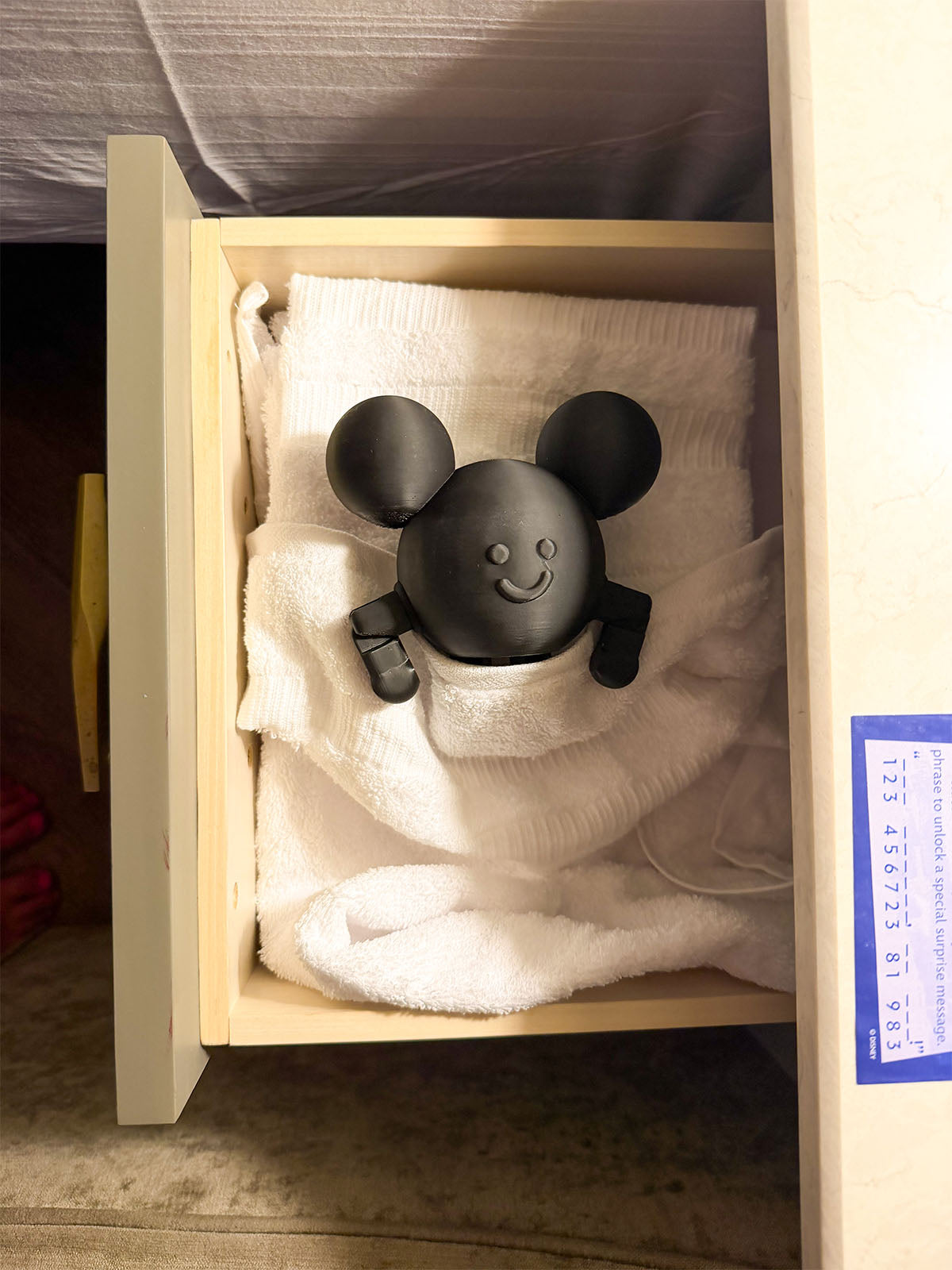 Mouse in the House