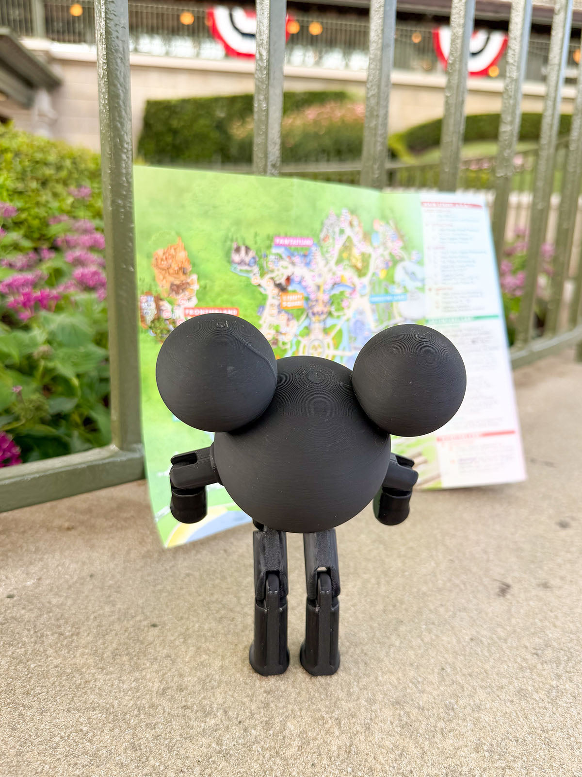 Mouse in the House